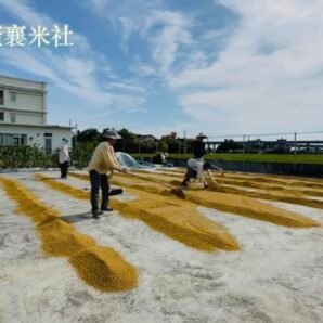 台灣有機日曬米， Taiwan organic sun-done rice