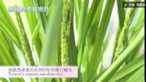 台灣有機日曬米， Taiwan organic sun-done rice,好吃的米怎麼種，太陽曬出全￼世界最好吃的米不但節能又減碳燕銘農產襄米社，有機新鮮快樂農。